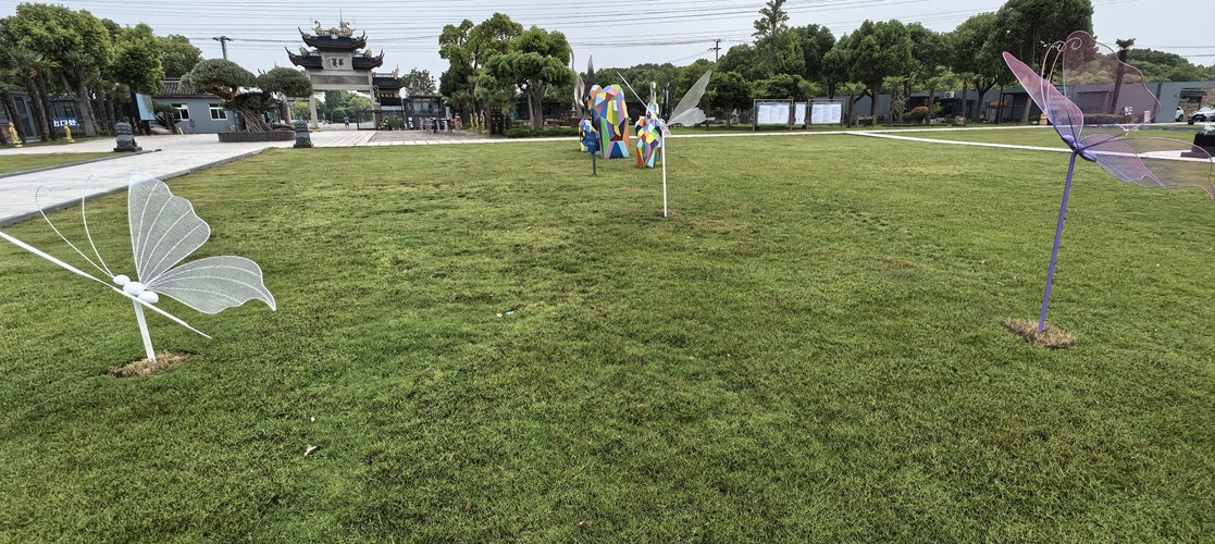 园区景观